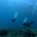 Exploratory Dive in the Mediterranean Sea