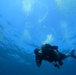 Exploratory Dive in the Mediterranean Sea