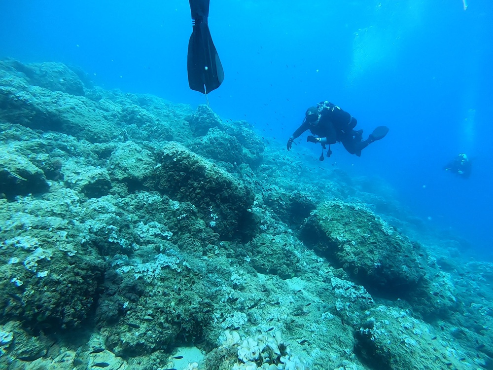 Exploratory Dive in the Mediterranean Sea