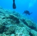 Exploratory Dive in the Mediterranean Sea