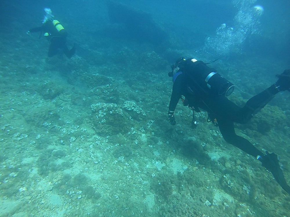 Exploratory Dive in the Mediterranean Sea