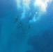 Exploratory Dive in the Mediterranean Sea