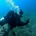 Exploratory Dive in the Mediterranean Sea