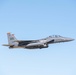 Gunfighter lead wing executes ACE ops