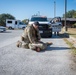 Photo of 116th Security Forces Squadron member(s) conducting a simulated high-risk traffic stop scenario