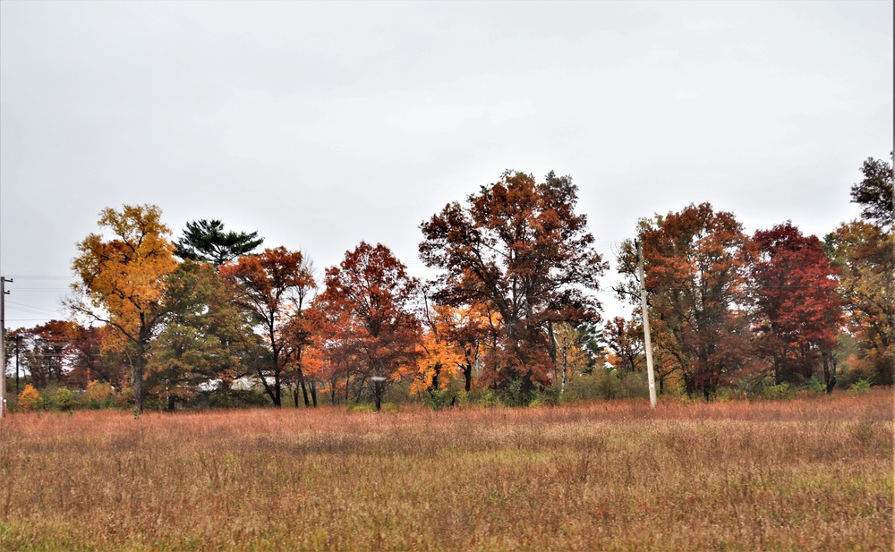 DVIDS - Images - 2022 Fall Colors at Fort McCoy [Image 4 of 9]