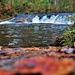 2022 Fall Colors at Trout Falls at Fort McCoy's Pine View Recreation Area