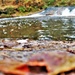 2022 Fall Colors at Trout Falls at Fort McCoy's Pine View Recreation Area