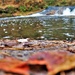 2022 Fall Colors at Trout Falls at Fort McCoy's Pine View Recreation Area