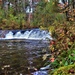 2022 Fall Colors at Trout Falls at Fort McCoy's Pine View Recreation Area