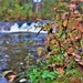 2022 Fall Colors at Trout Falls at Fort McCoy's Pine View Recreation Area