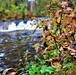 2022 Fall Colors at Trout Falls at Fort McCoy's Pine View Recreation Area