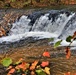 2022 Fall Colors at Trout Falls at Fort McCoy's Pine View Recreation Area