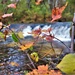 2022 Fall Colors at Trout Falls at Fort McCoy's Pine View Recreation Area