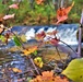 2022 Fall Colors at Trout Falls at Fort McCoy's Pine View Recreation Area