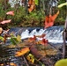 2022 Fall Colors at Trout Falls at Fort McCoy's Pine View Recreation Area