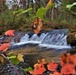 2022 Fall Colors at Trout Falls at Fort McCoy's Pine View Recreation Area