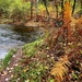 2022 Fall Colors at Trout Falls at Fort McCoy's Pine View Recreation Area