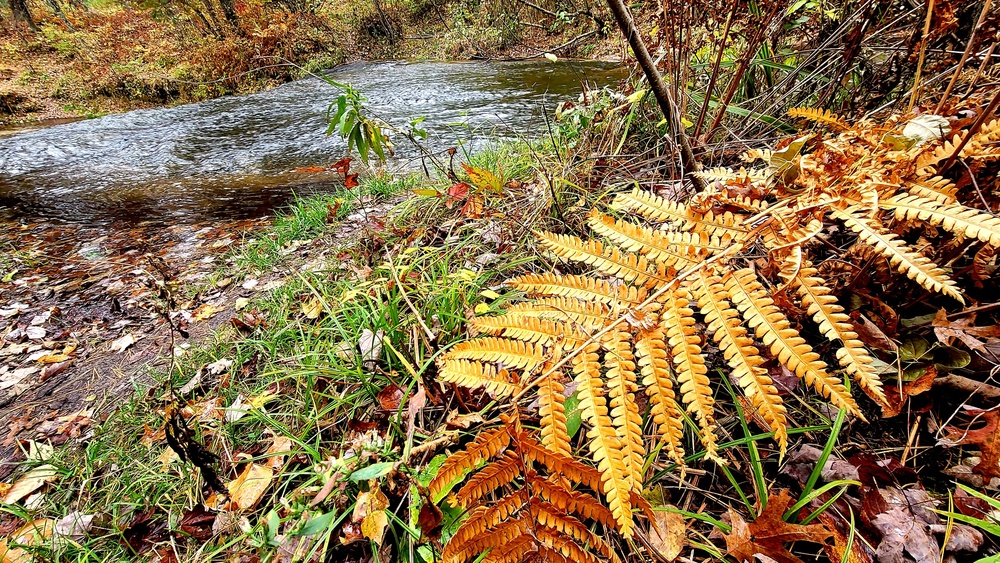 2022 Fall Colors at Trout Falls at Fort McCoy's Pine View Recreation Area