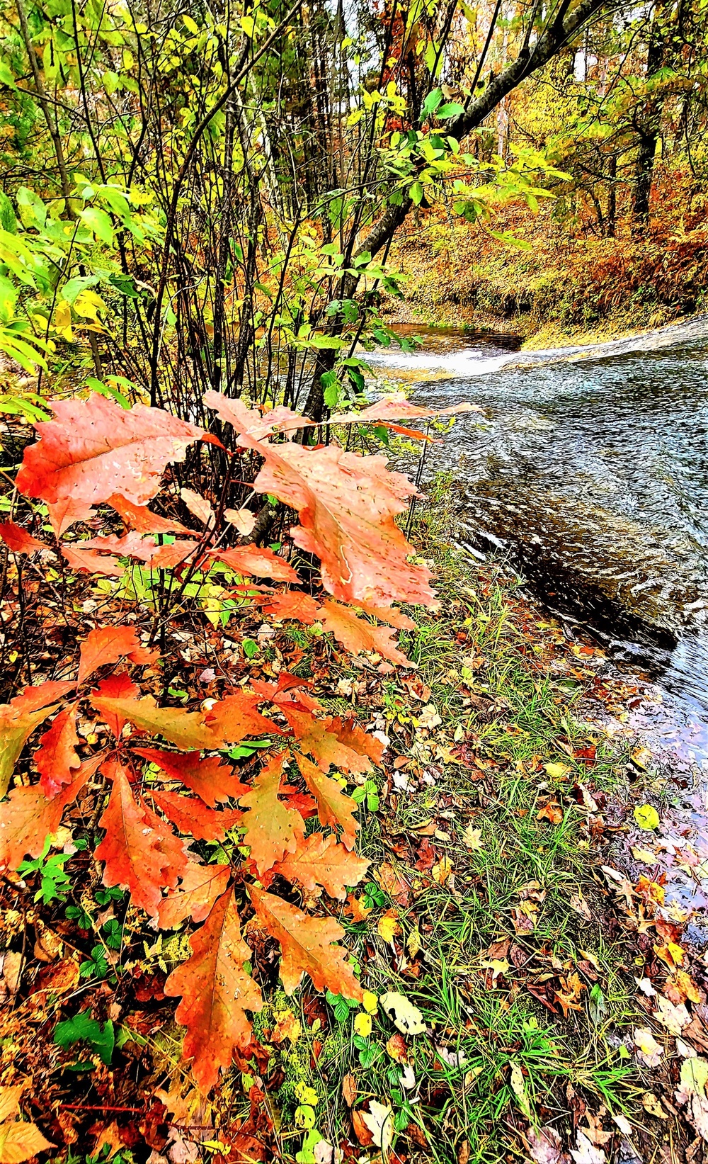 2022 Fall Colors at Trout Falls at Fort McCoy's Pine View Recreation Area