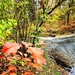 2022 Fall Colors at Trout Falls at Fort McCoy's Pine View Recreation Area