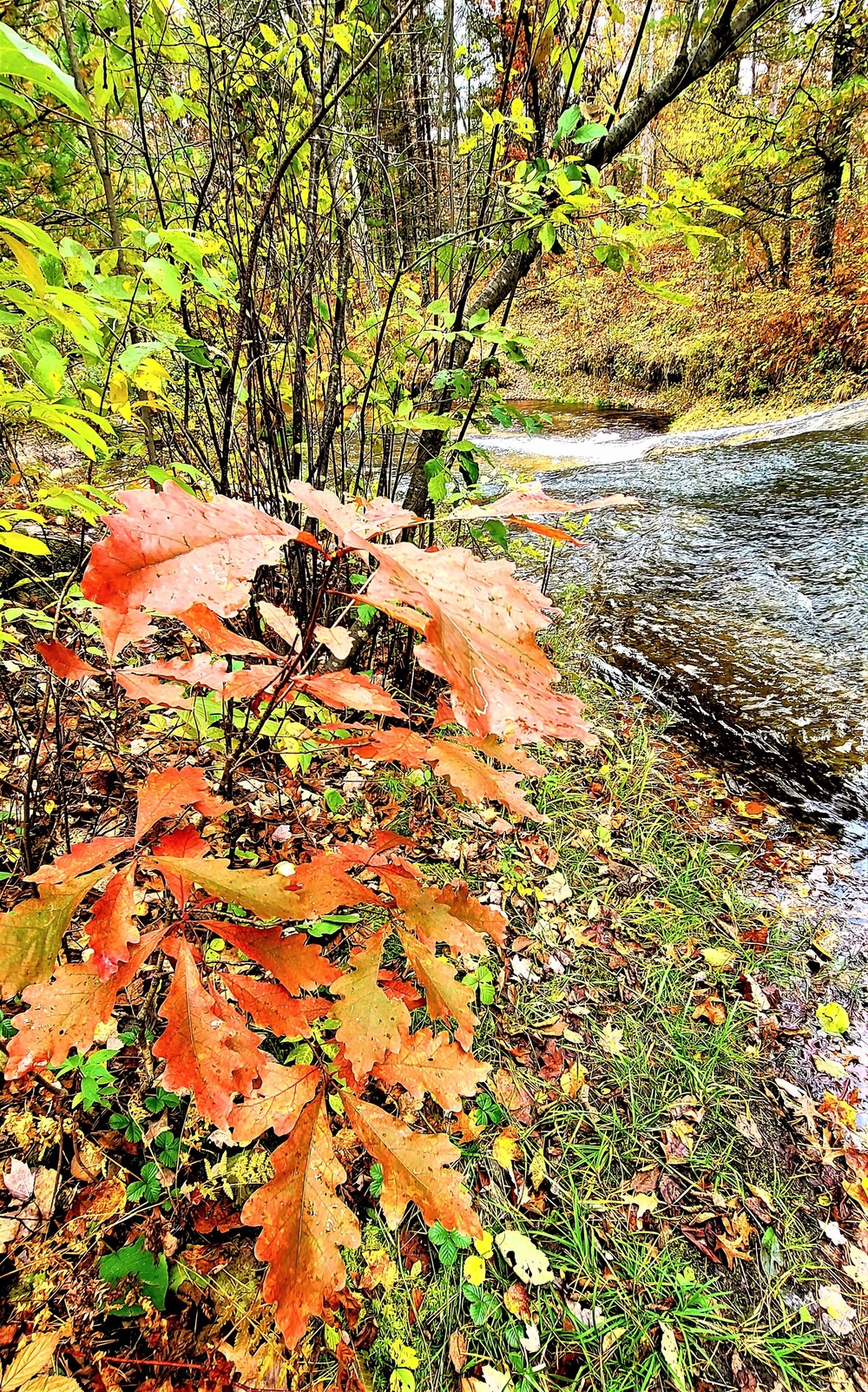 2022 Fall Colors at Trout Falls at Fort McCoy's Pine View Recreation Area