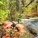 2022 Fall Colors at Trout Falls at Fort McCoy's Pine View Recreation Area