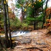 2022 Fall Colors at Trout Falls at Fort McCoy's Pine View Recreation Area