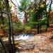 2022 Fall Colors at Trout Falls at Fort McCoy's Pine View Recreation Area