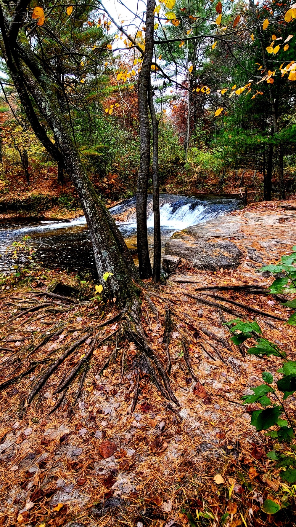 2022 Fall Colors at Trout Falls at Fort McCoy's Pine View Recreation Area