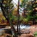 2022 Fall Colors at Trout Falls at Fort McCoy's Pine View Recreation Area