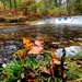 2022 Fall Colors at Trout Falls at Fort McCoy's Pine View Recreation Area