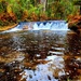 2022 Fall Colors at Trout Falls at Fort McCoy's Pine View Recreation Area