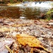 2022 Fall Colors at Trout Falls at Fort McCoy's Pine View Recreation Area