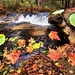 2022 Fall Colors at Trout Falls at Fort McCoy's Pine View Recreation Area