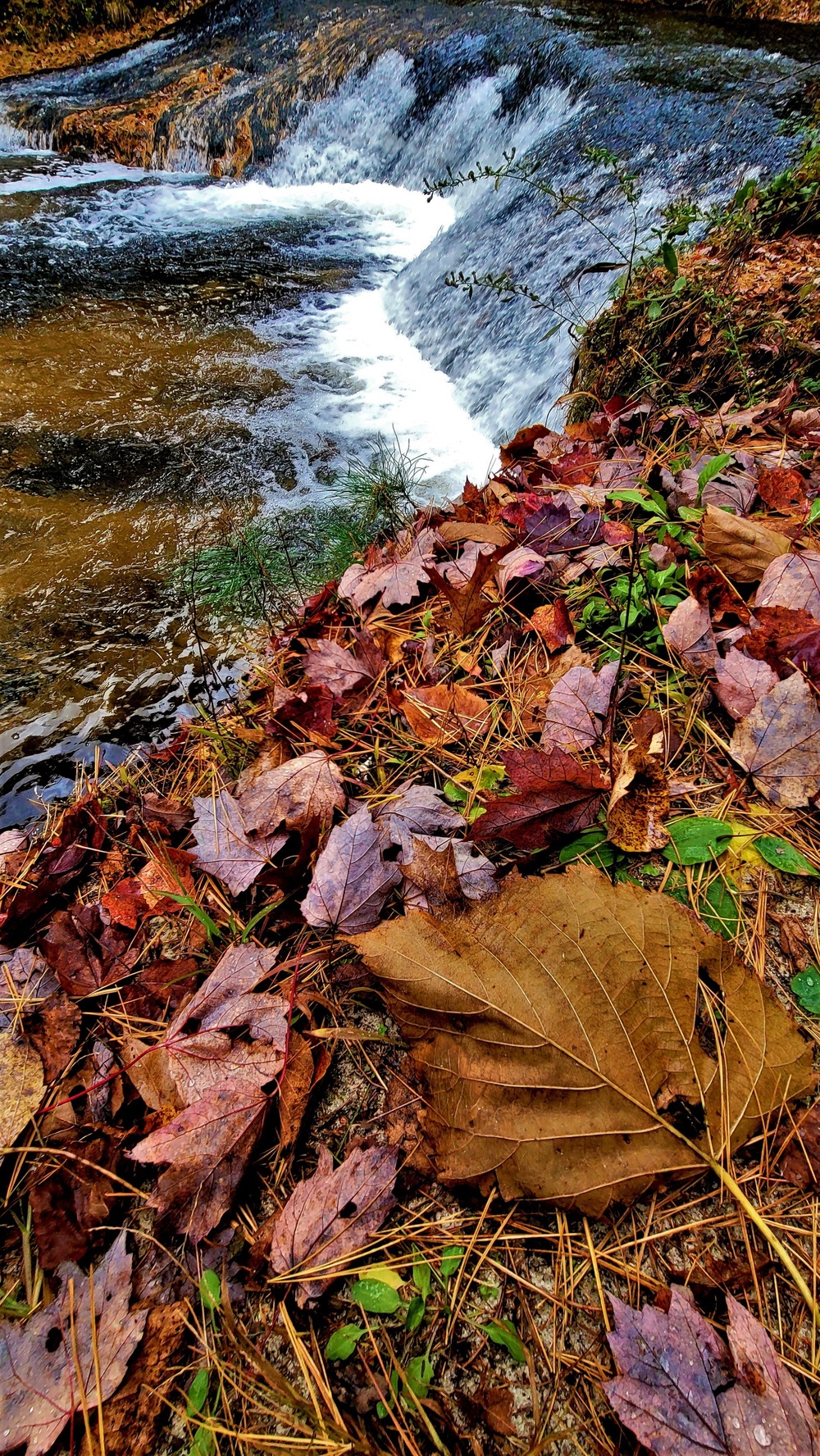 2022 Fall Colors at Trout Falls at Fort McCoy's Pine View Recreation Area