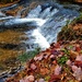 2022 Fall Colors at Trout Falls at Fort McCoy's Pine View Recreation Area