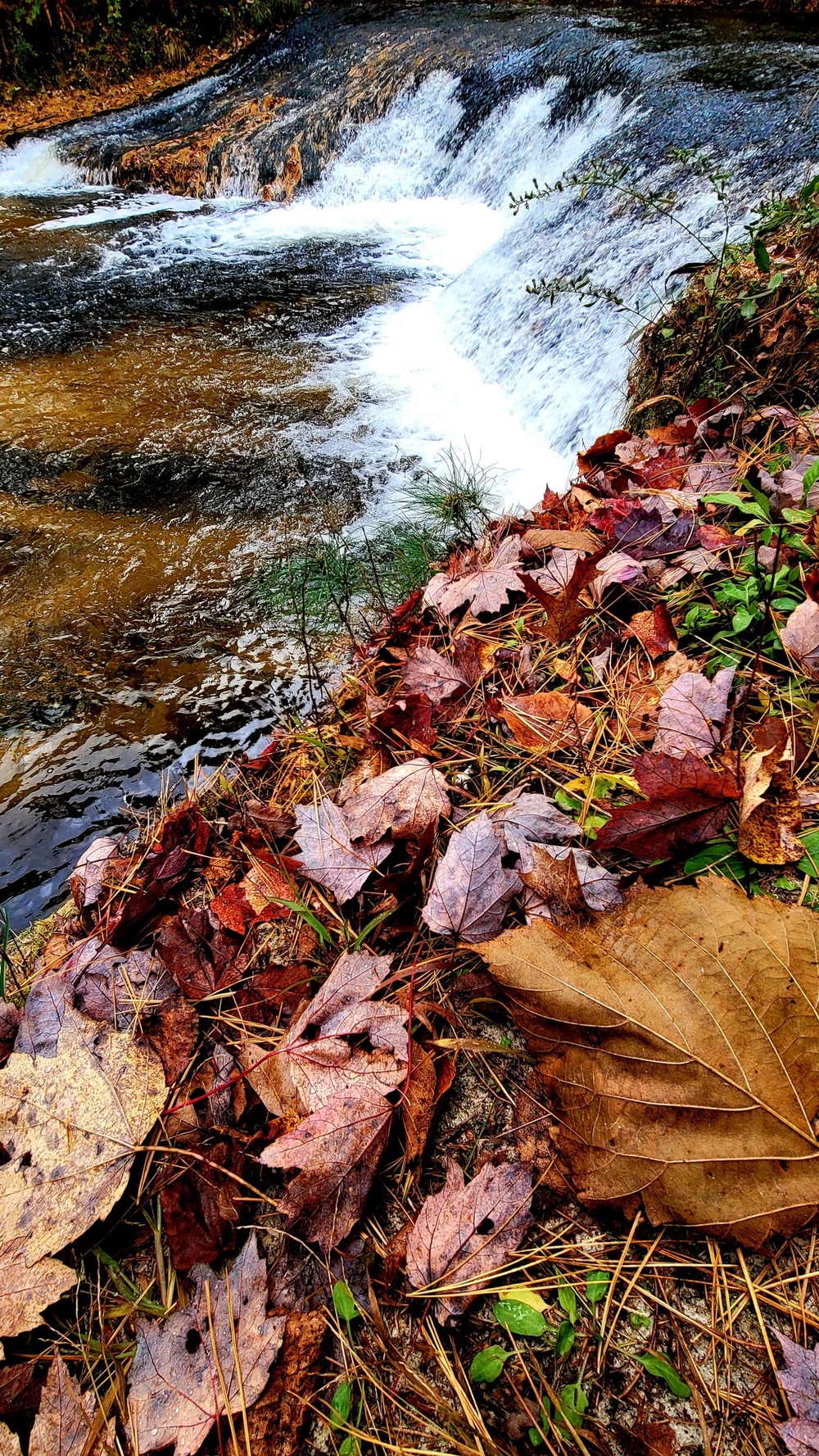 2022 Fall Colors at Trout Falls at Fort McCoy's Pine View Recreation Area