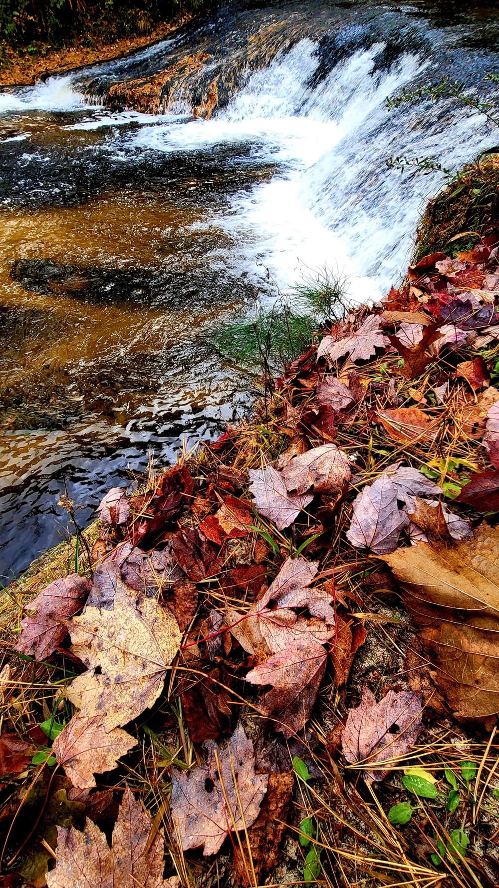 2022 Fall Colors at Trout Falls at Fort McCoy's Pine View Recreation Area