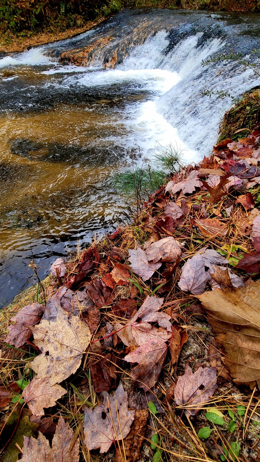 2022 Fall Colors at Trout Falls at Fort McCoy's Pine View Recreation Area