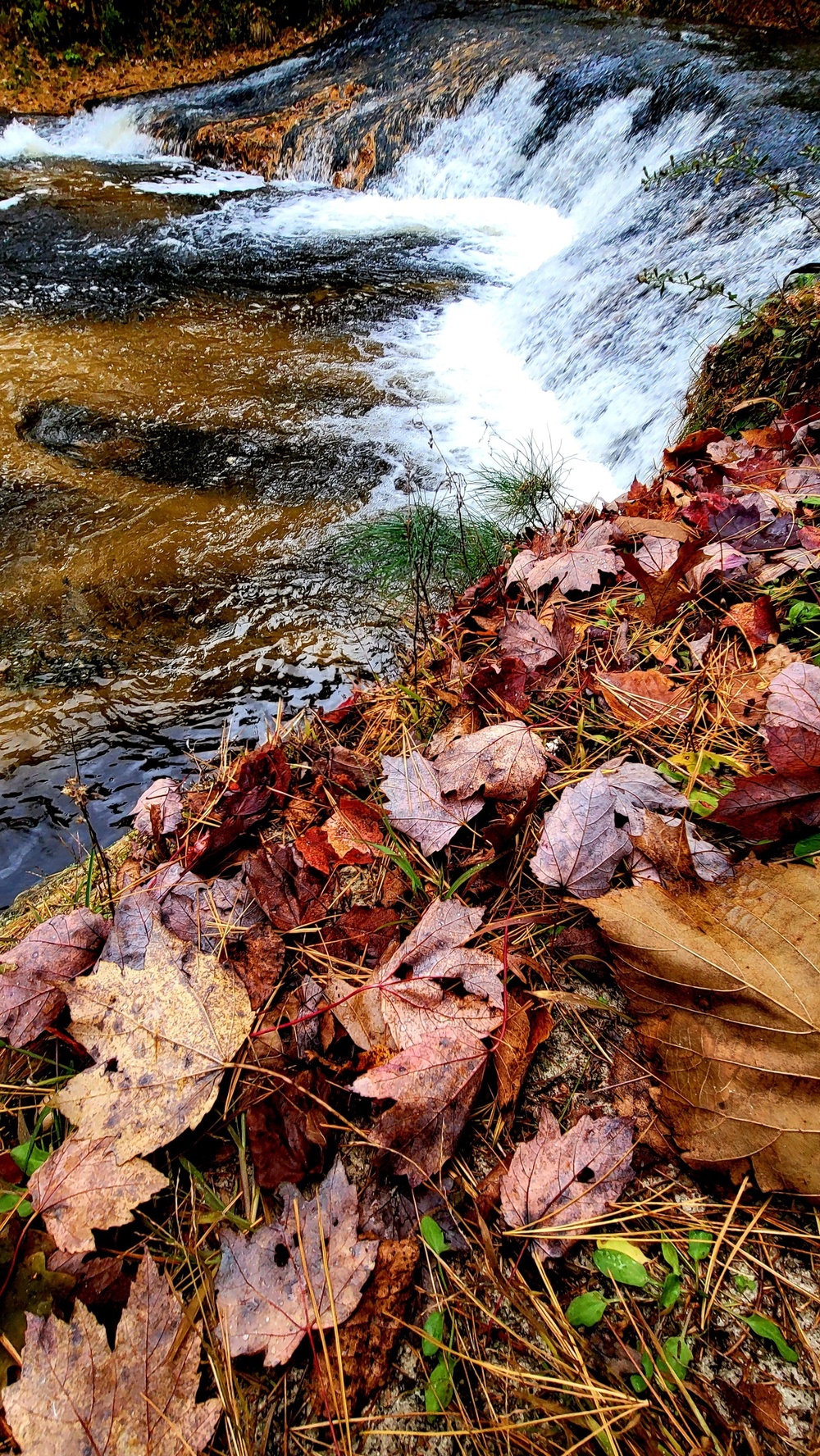 2022 Fall Colors at Trout Falls at Fort McCoy's Pine View Recreation Area