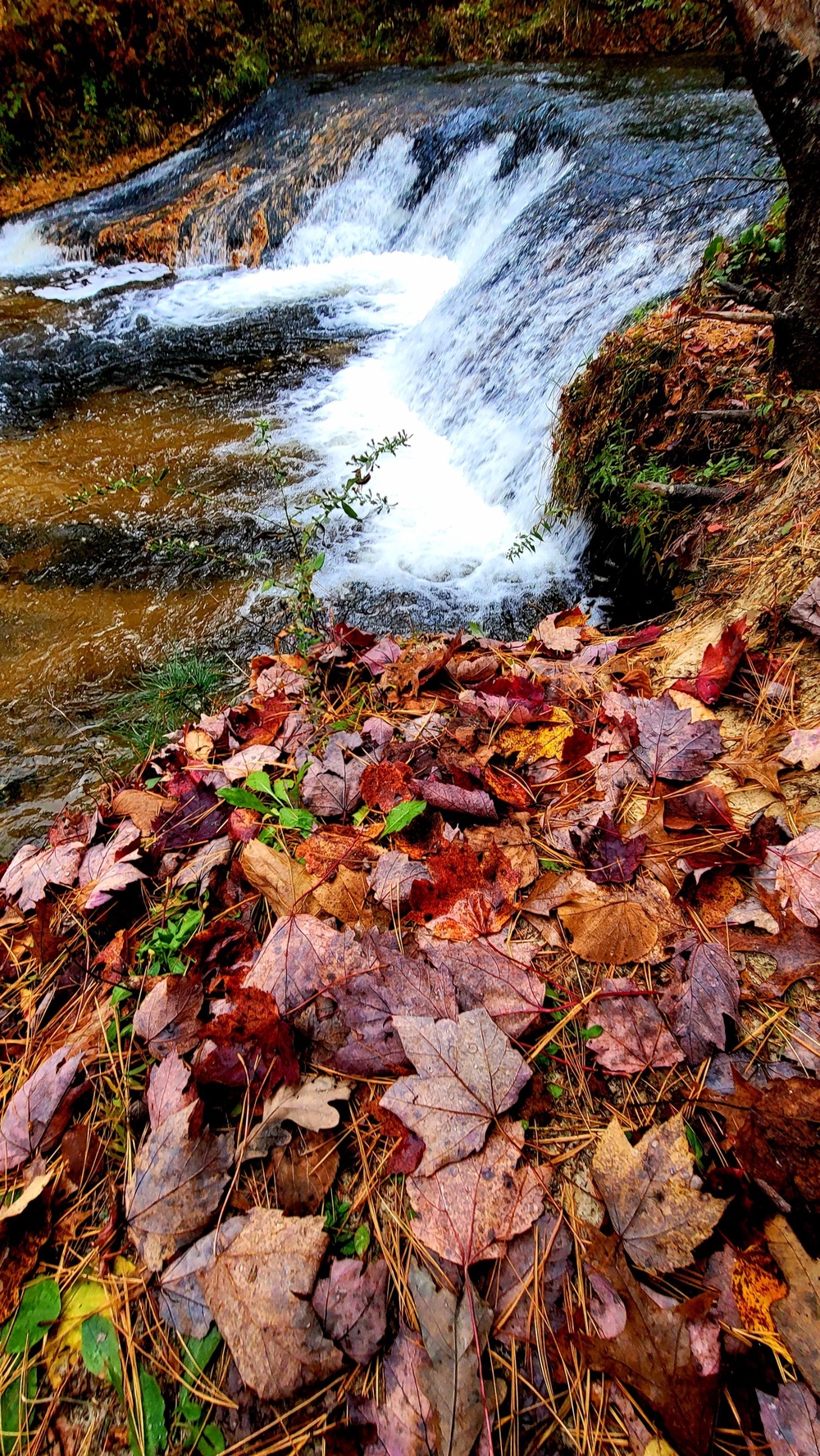 2022 Fall Colors at Trout Falls at Fort McCoy's Pine View Recreation Area