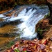 2022 Fall Colors at Trout Falls at Fort McCoy's Pine View Recreation Area