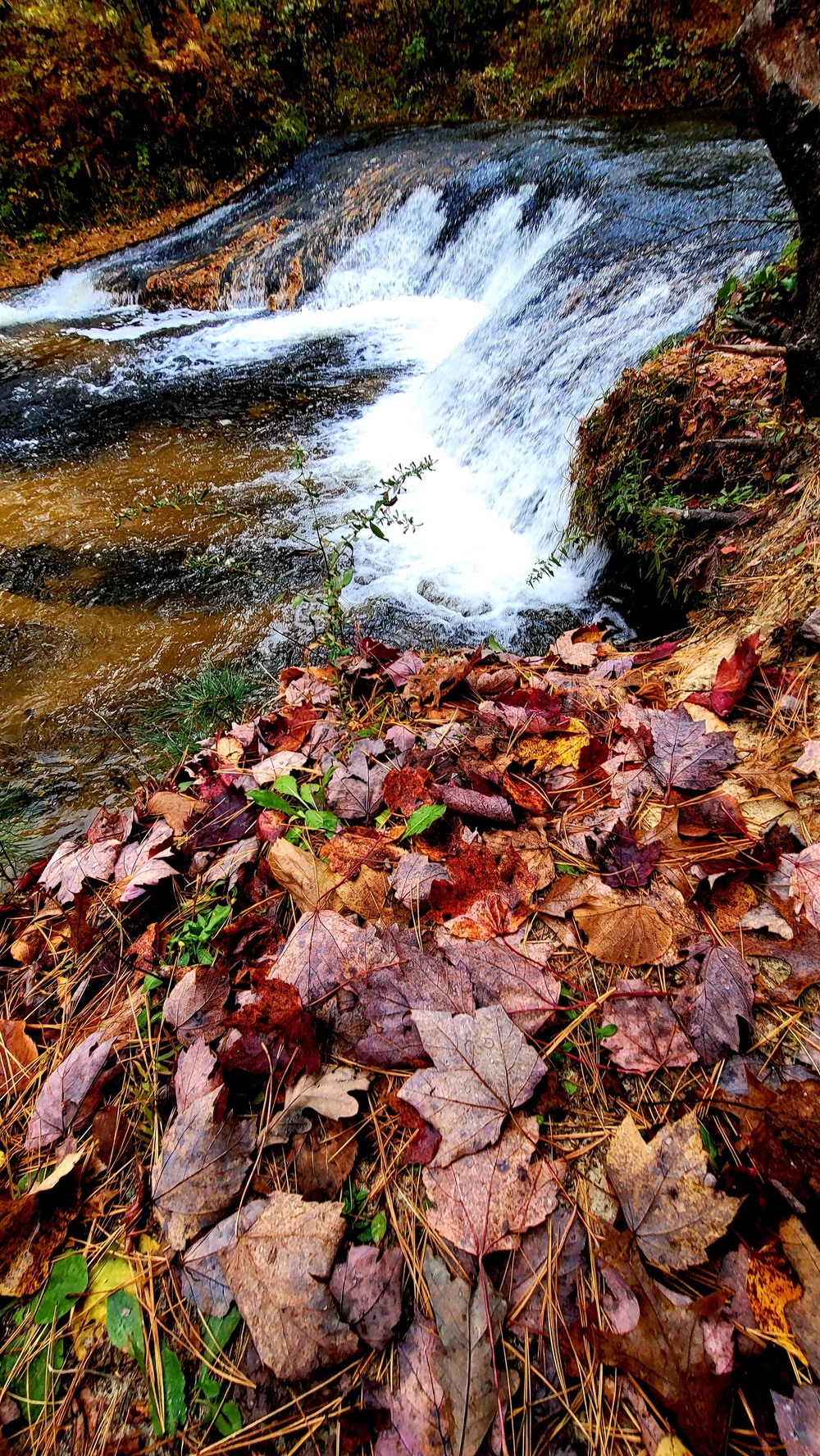 2022 Fall Colors at Trout Falls at Fort McCoy's Pine View Recreation Area