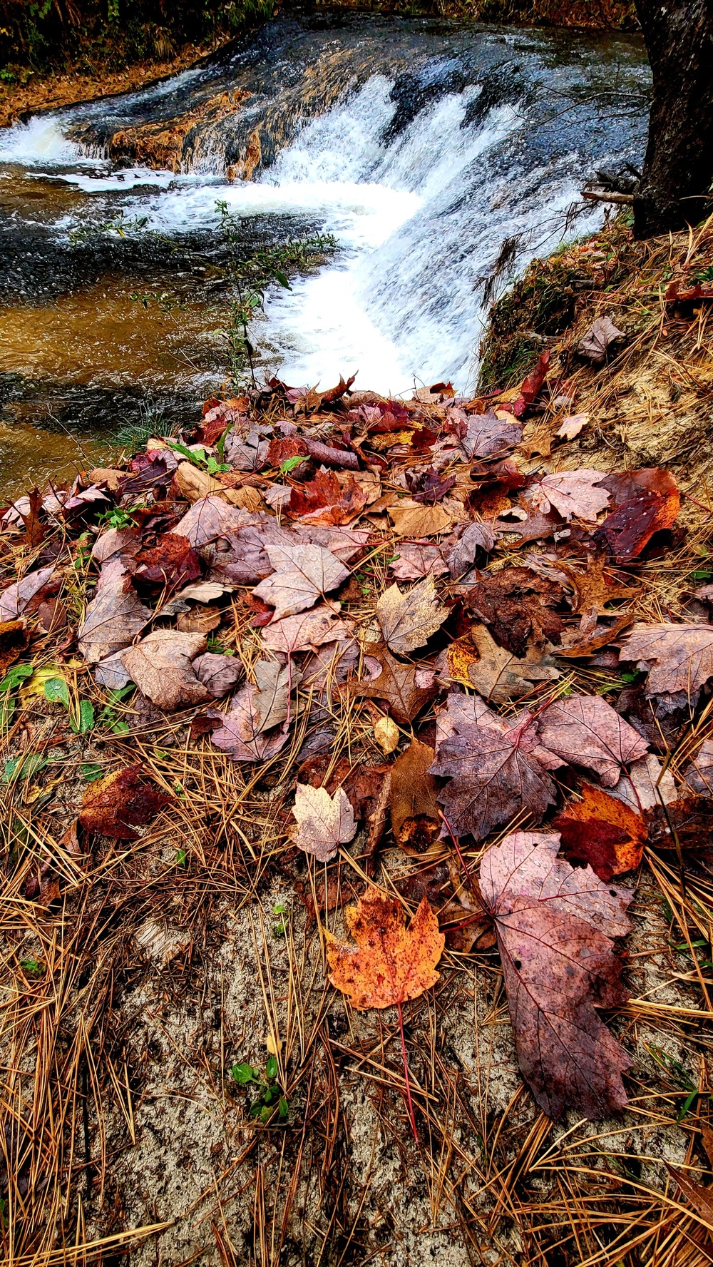 2022 Fall Colors at Trout Falls at Fort McCoy's Pine View Recreation Area