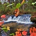 2022 Fall Colors at Trout Falls at Fort McCoy's Pine View Recreation Area