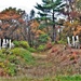 Army ROTC cadets train at Fort McCoy