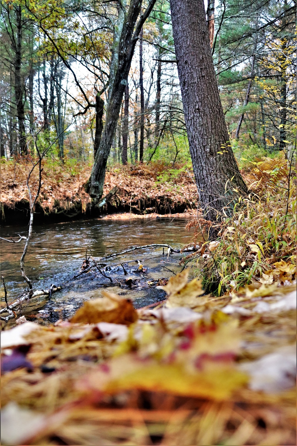 Fort McCoy's Pine View Recreation Area