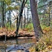 Fort McCoy's Pine View Recreation Area