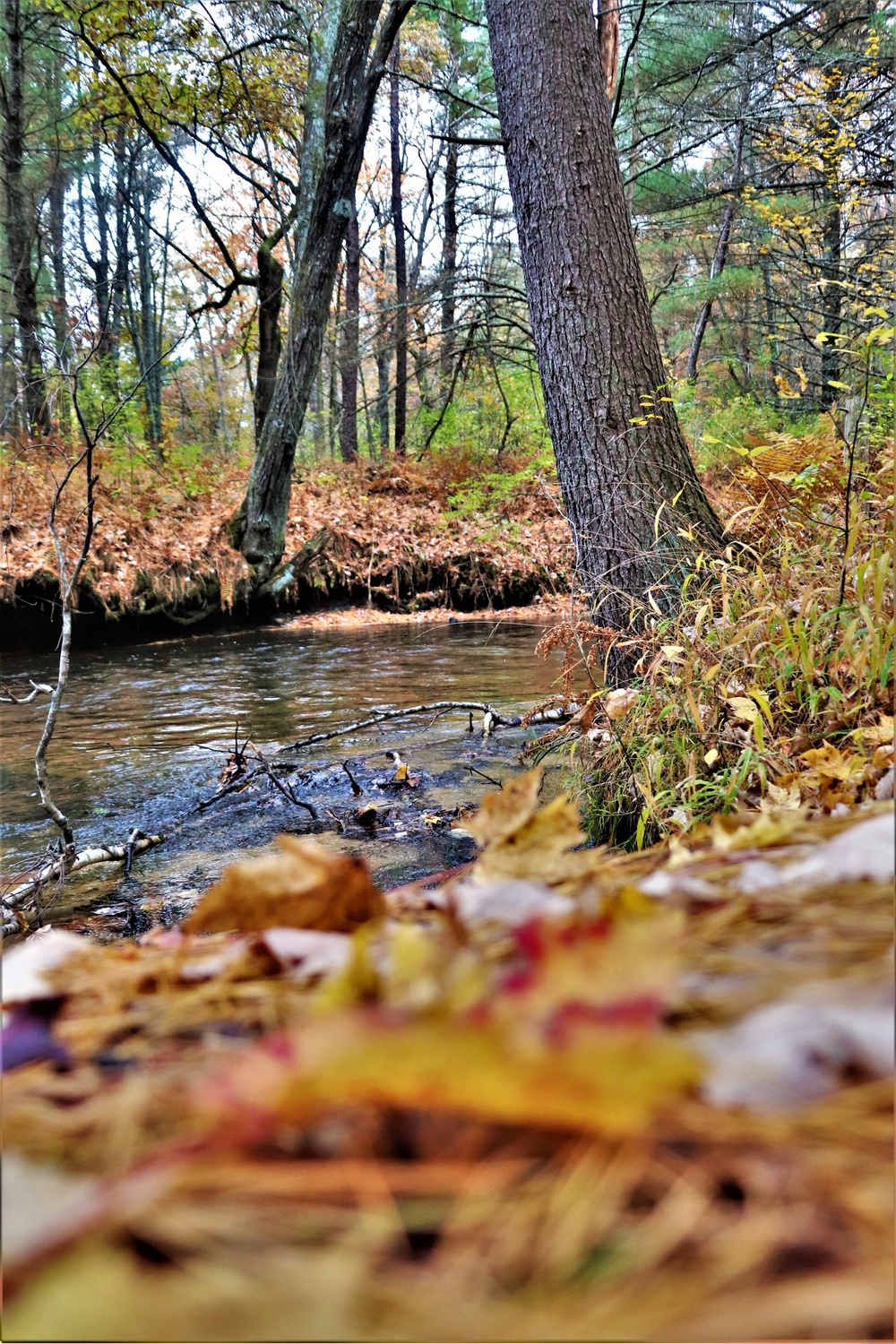 Fort McCoy's Pine View Recreation Area